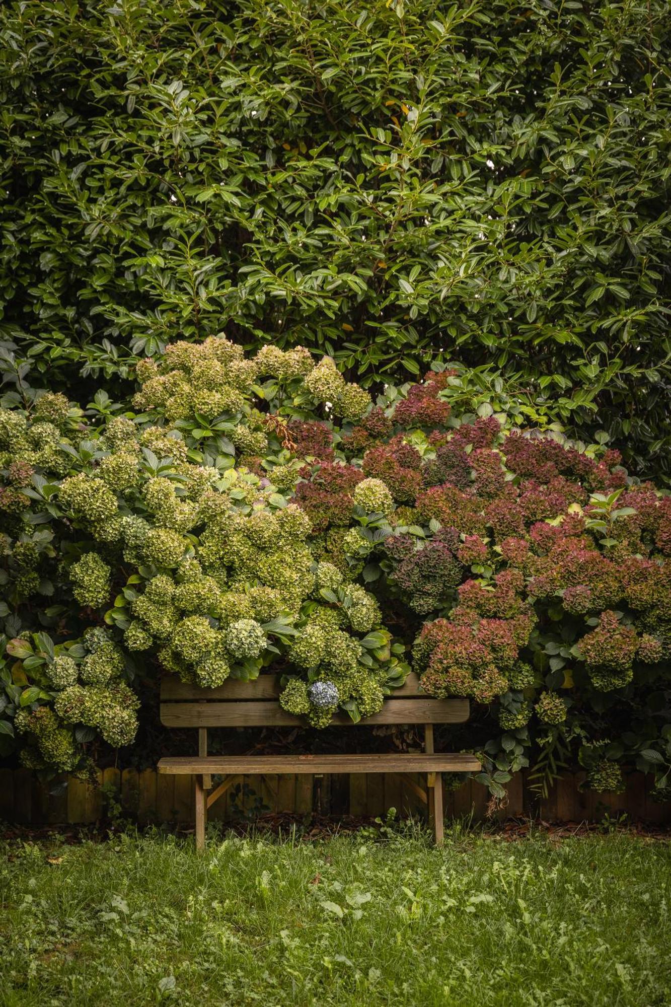 Lopérec Le Jardin Enchanteur, Chaleureuse Maison D'Hotes Eco-Responsable, Calme Et Accueillante المظهر الخارجي الصورة